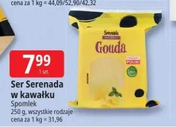 Ser Serenada w kawałku