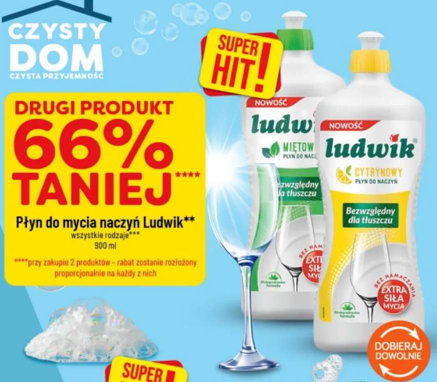 Płyn do mycia naczyń Ludwik miętowy +1 wariant
