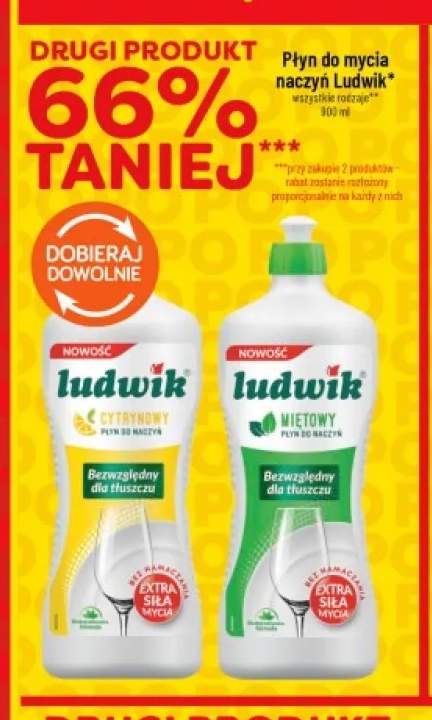 Płyn do mycia naczyń Ludwik miętowy +1 wariant
