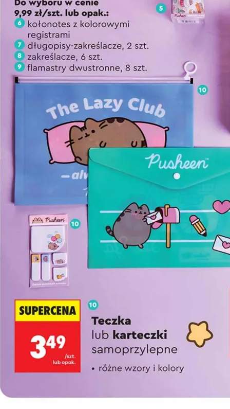 Teczka Pusheen +1 wariant