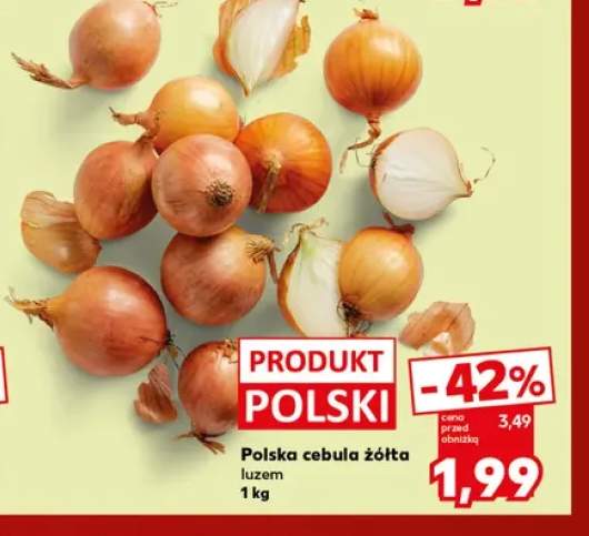 Cebula żółta polska