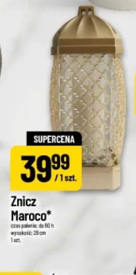 Znicz Maroco
