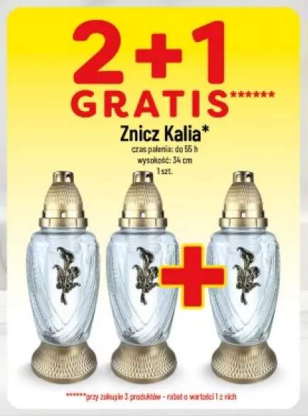 Znicz Kalia