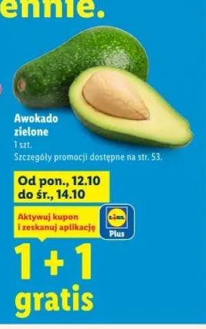 Awokado zielone