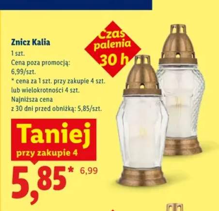 Znicz Kalia