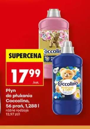 Płyn do płukania Coccolino Perfume & Care Honeysuckle & Sandalwood