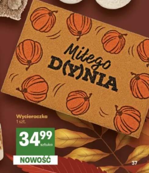 Wycieraczka