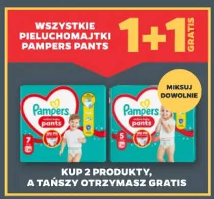 Pieluchomajtki Pampers Pants +2 warianty