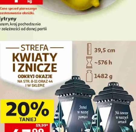 znicz