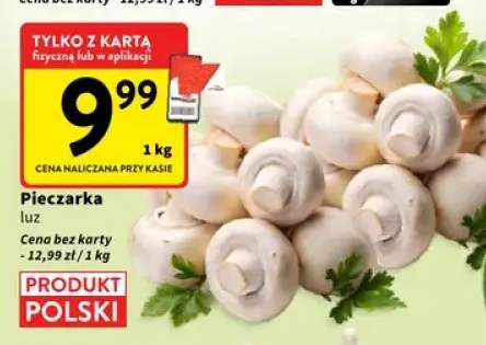 Pieczarka