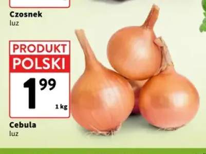 Cebula
