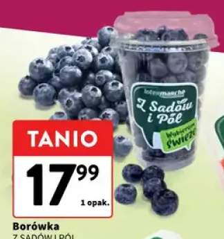 Borówka Z Sadów i Pól