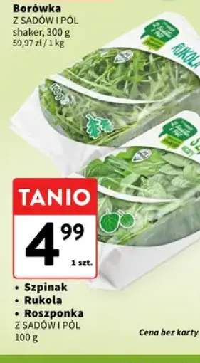 Rukola Z Sadów i Pól +2 warianty