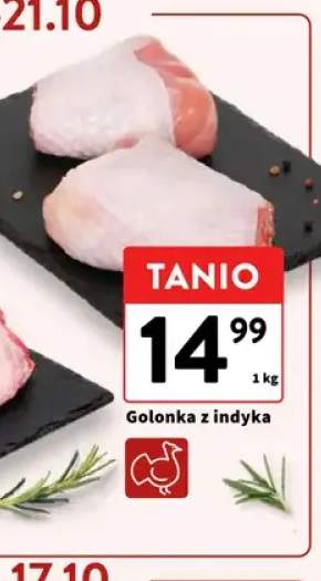Golonka z indyka