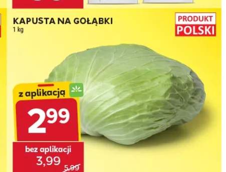 Kapusta na gołąbki