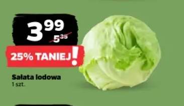 Sałata lodowa