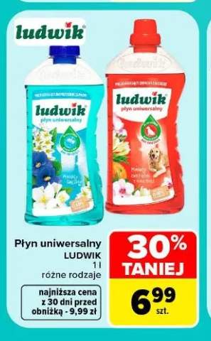 Płyn uniwersalny Ludwik