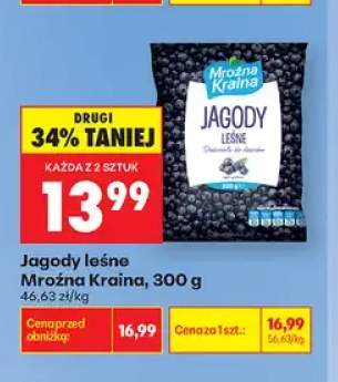Jagody leśne Mroźna Kraina
