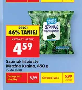 Szpinak liściasty Mroźna Kraina