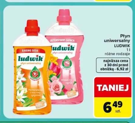 Płyn uniwersalny Ludwik wiosenny ogród +1 wariant