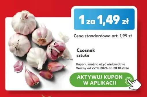 Czosnek