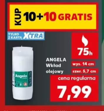 Wkład olejowy Angela