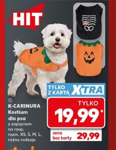 Kostium dla psa z zapięciem na rzep K-Carinura