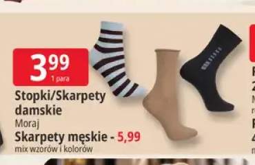 Skarpety męskie Moraj +2 warianty