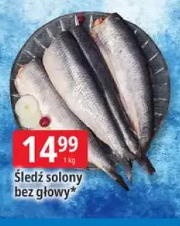 Śledź solony bez głowy