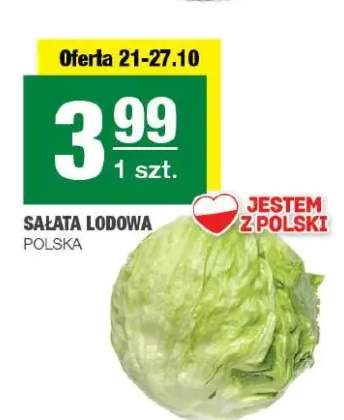 Sałata lodowa polska