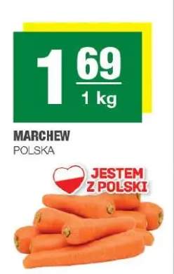 Marchew polska