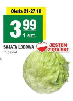 Sałata lodowa polska