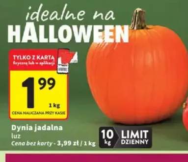 Dynia jadalna luz