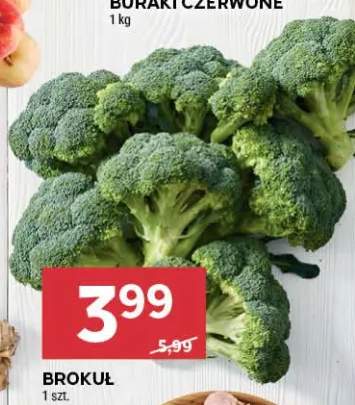Brokuł