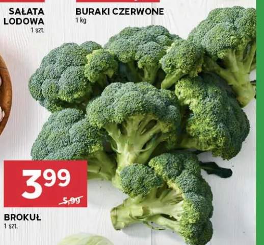 Brokuł