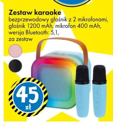 Zestaw karaoke bezprzewodowy głośnik z 2 mikrofonami
