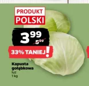 Kapusta gołąbkowa