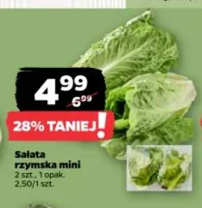 Sałata rzymska mini