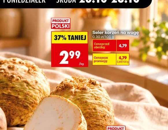 Seler korzeń