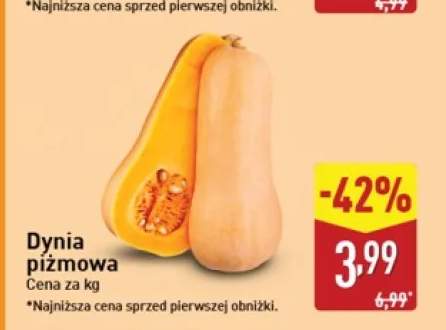 Dynia piżmowa