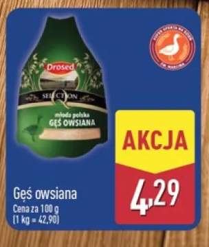 Gęś owsiana Drosed