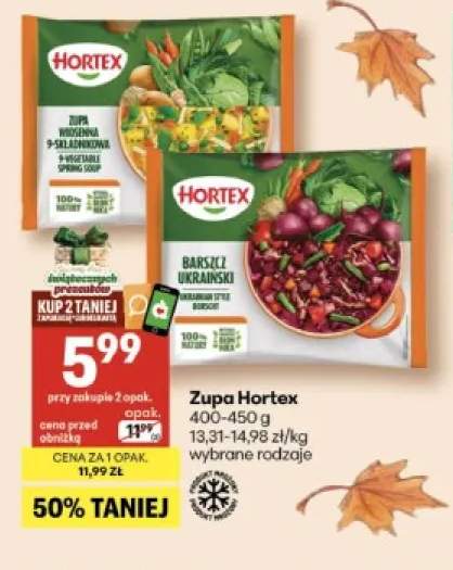 Zupa wiosenna 9-składnikowa Hortex +1 wariant