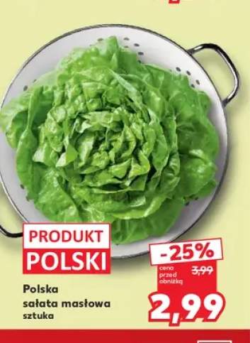 Sałata masłowa polska
