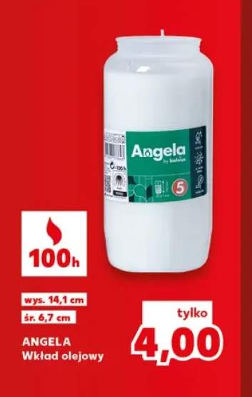 Wkład olejowy Angela