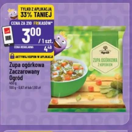 Zupa ogórkowa Zaczarowany Ogród