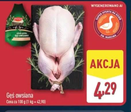 Gęś owsiana Drosed