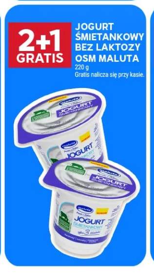 Jogurt śmietankowy bez laktozy Maluta