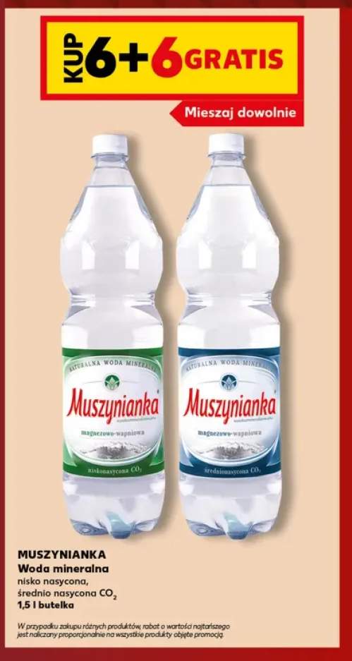 Woda mineralna gazowana nisko nasycona Muszynianka +1 wariant