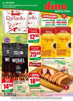 Okładka gazetki Dino