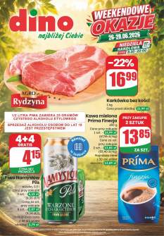 Okładka gazetki Dino